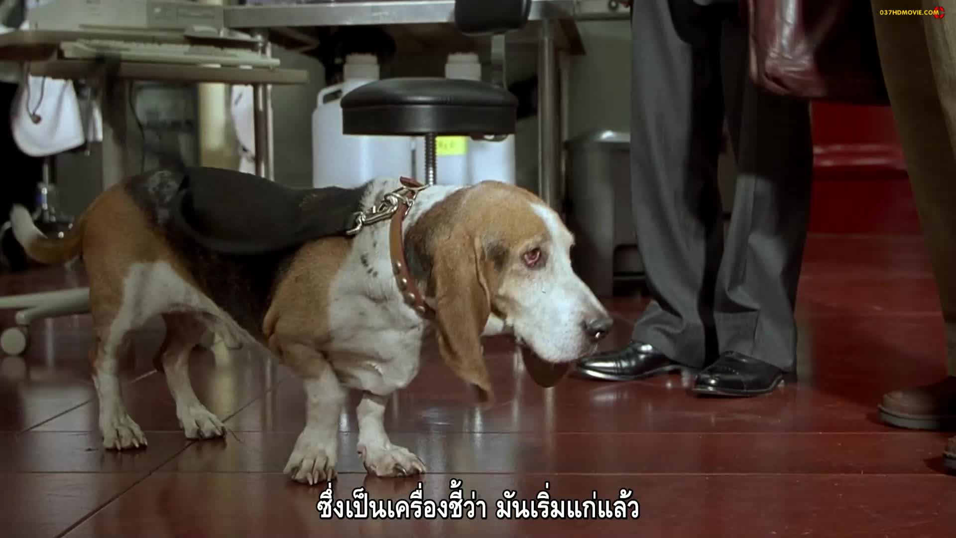 Nutty Professor II The Klumps (2000) ตุ๊ต๊ะมหัศจรรย์ตระกูลคลัมพ์ 2